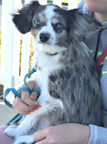 Kairi at a year old.