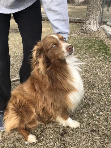 Charlie (DDR Charlie)