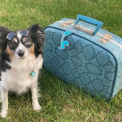 Calypso (Ebonheart's Sassy Sea Nymph)