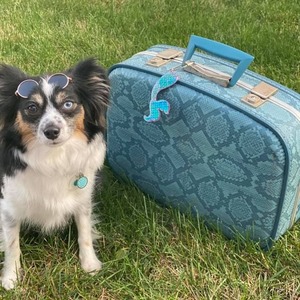 Calypso (Ebonheart's Sassy Sea Nymph)