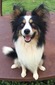 Hudson (Rayn's Hudson Tiberius)
